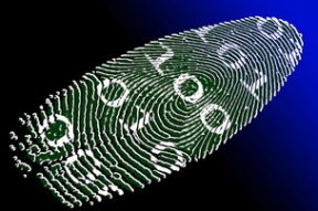 开云·体育官网-足球场的未来：超高技科技与观众席的革新，足球场设计及建造方案