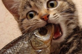 开云esports-世界杯中国队迎战 球员状态稳定发挥，世界杯中国队怎么样