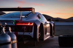 开云娱乐官网-“南非羚羊队的关键球员：埃尔斯·霍斯特助力未来辉煌”