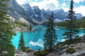 开云在线直播-俱乐部运营未有效连接本地教育资源，俱乐部运营团队的作用