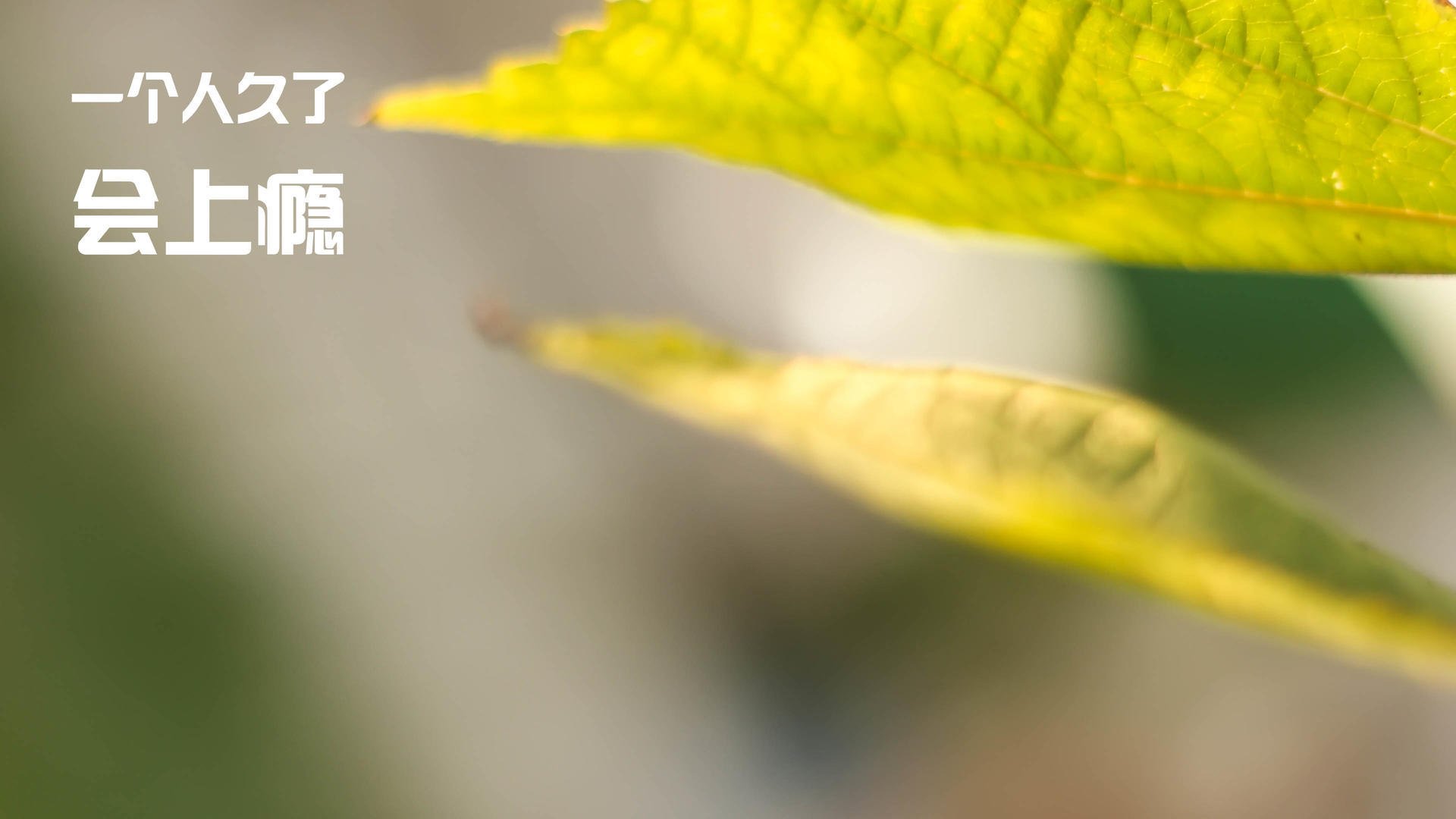 中国三人篮球女队保持高压逼抢策略，中国篮球队在女子三人篮球赛中获得